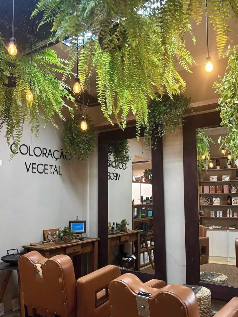 Salão do MH Botânica com samambaias e a parede de coloração vegetal